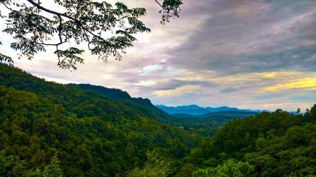 Green forested hills and a hazy valley at sunset